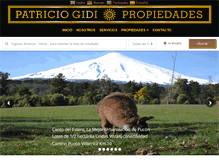 Tablet Screenshot of patriciogidi.com